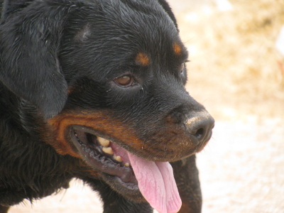 clyde0701.JPG